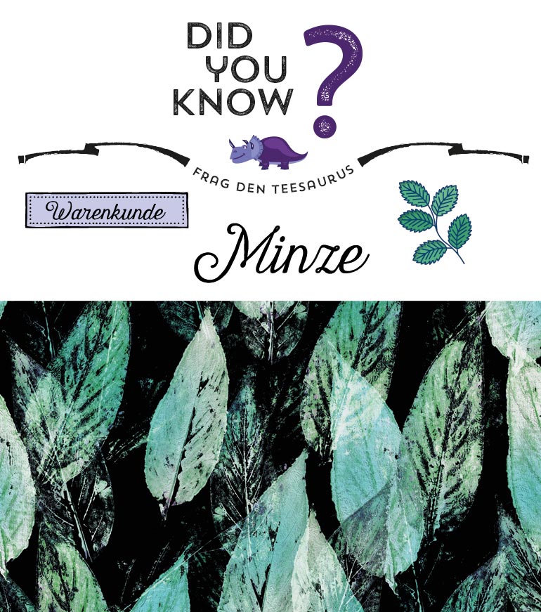 Das WhoisWho der Minze URBANTEADEALERS