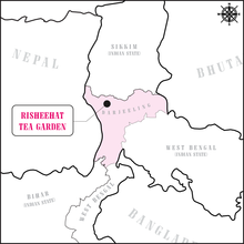 Schwarzer Tee Darjeeling Risheehat Bio
