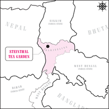 Schwarzer Tee Darjeeling Steinthal Bio