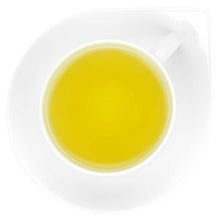 Grüner Tee Orange Budino
