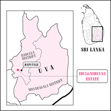 Schwarzer Tee Ceylon Idulgashena Bio