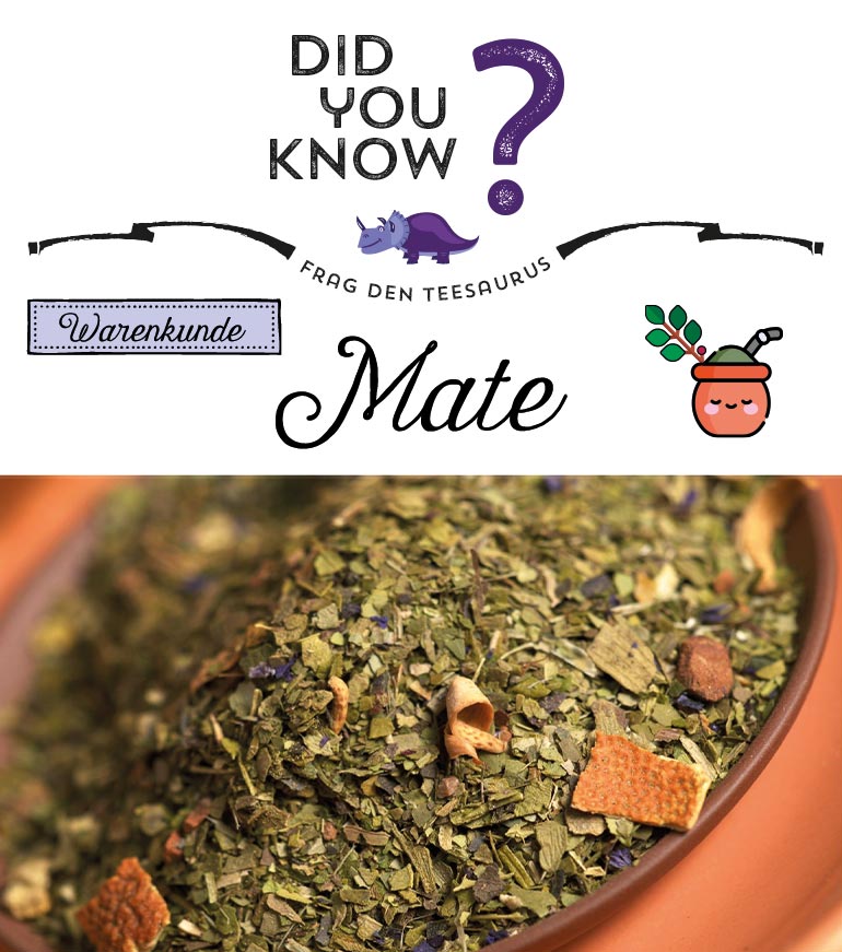 Mate: Trend-Getränk mit Tradition