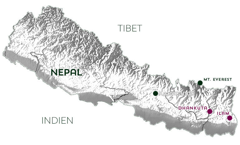 Nepal - Kleines Land. Höchste Berge. Großartiger Tee.