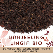 Schwarzer Tee Darjeeling Lingia Bio