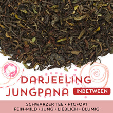 Schwarzer Tee Darjeeling Jungpana inbetween