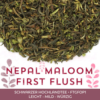 Schwarzer Tee Nepal Maloom First Flush