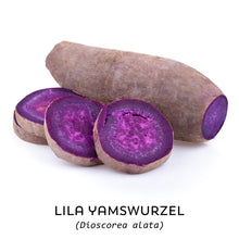 Ube Powder