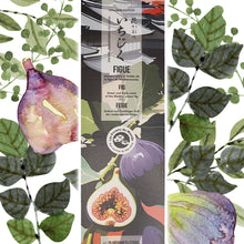 Japanische Räucherstäbchen Feige