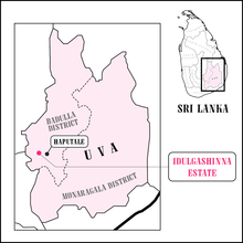 Ceylon Idulgashena Bio